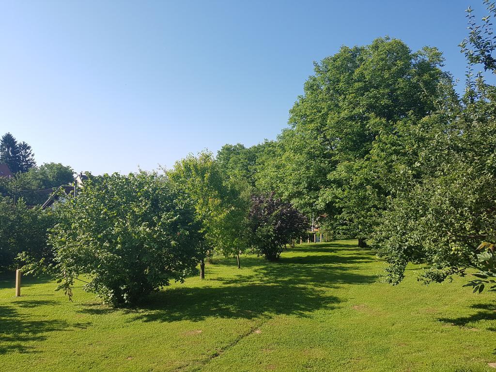 Vila House Wisteria Rakovica Exteriér fotografie